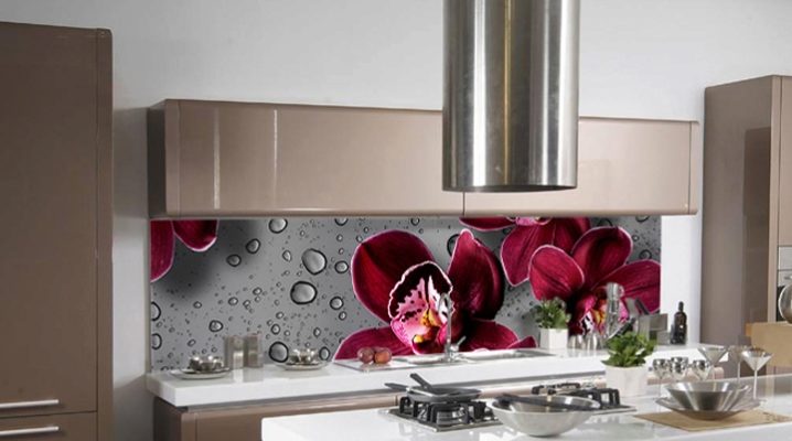  Schürze für Küche Orchidee