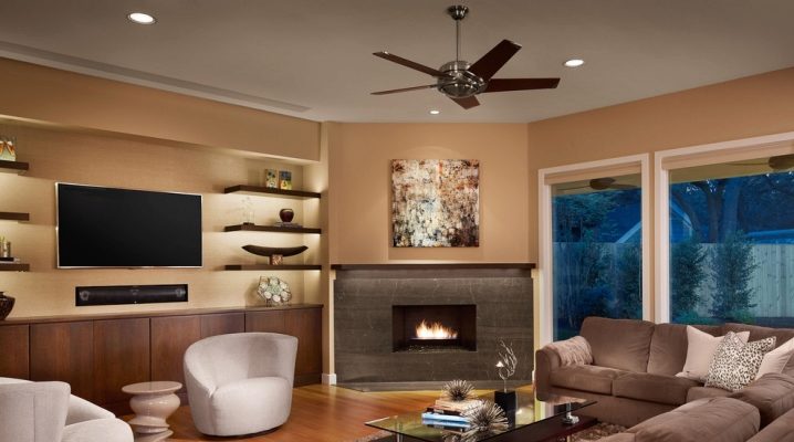  Salon avec cheminée et télévision