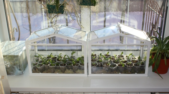  Balcon à effet de serre