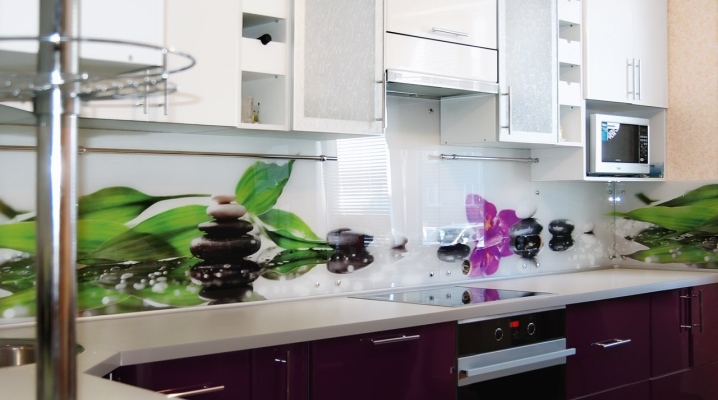  Panneaux en plastique pour la cuisine