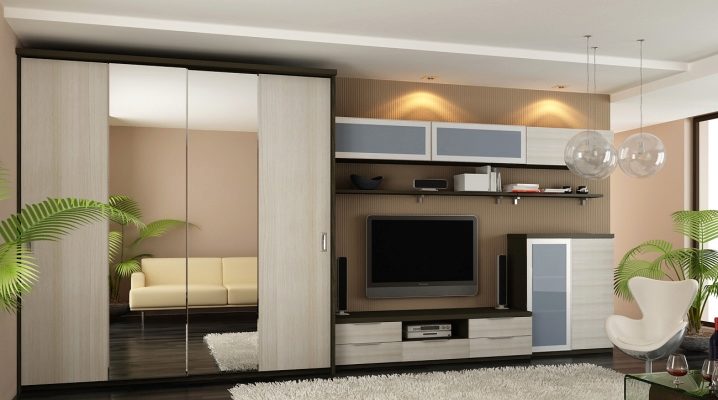  Armoire coulissante dans le salon