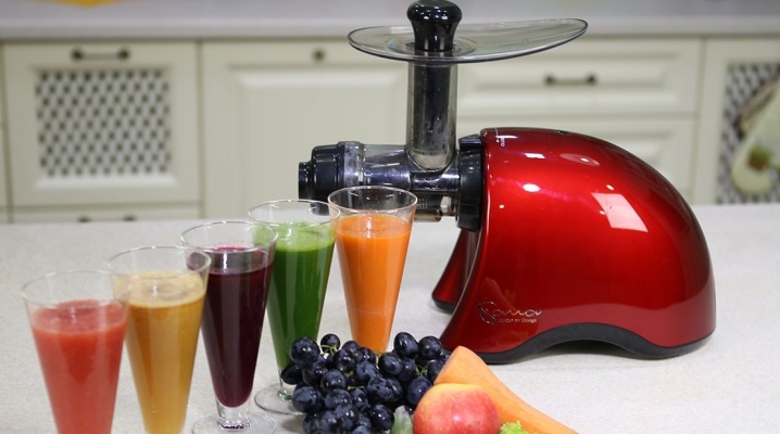  Wie man einen Juicer für Gemüse und Früchte wählt