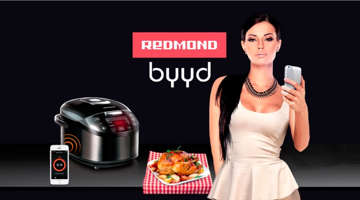 Doppelkessel und andere Haushaltsgeräte Redmond