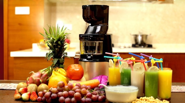  Vertikale und horizontale Schraubenentsafter