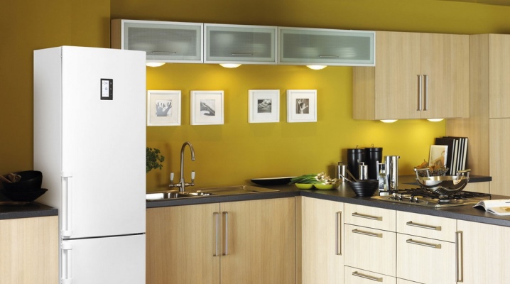  Réfrigérateurs biélorusses