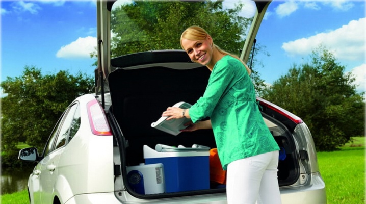  Thermoelektrische Kühlschränke