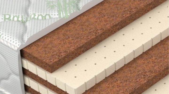  Springless Matratzen mit Kokos und Latex