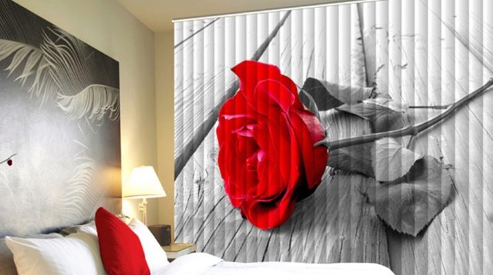  Jalousien mit Fotodruck