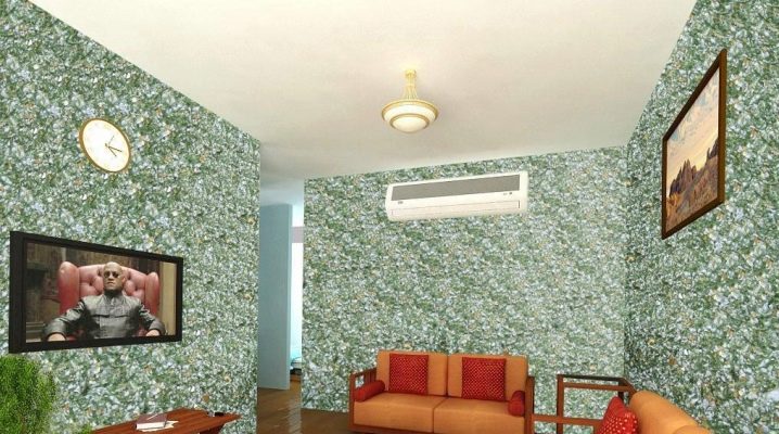  Papier peint liquide à l'intérieur des pièces