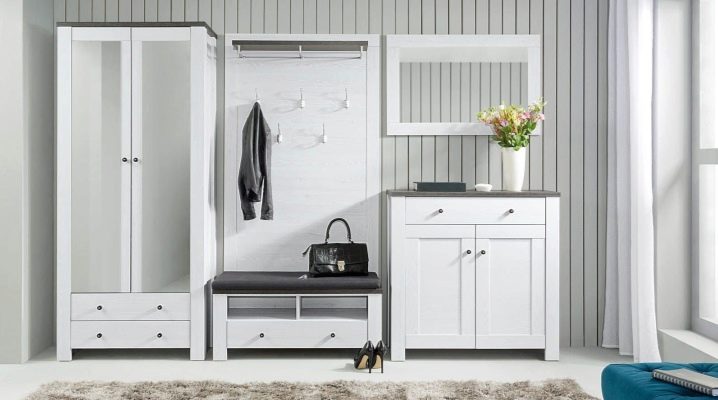  Wall hanger and shoebox in the hallway