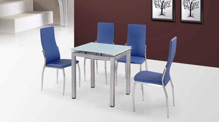  Stühle auf dem Metallrahmen: Arten und Design-Merkmale