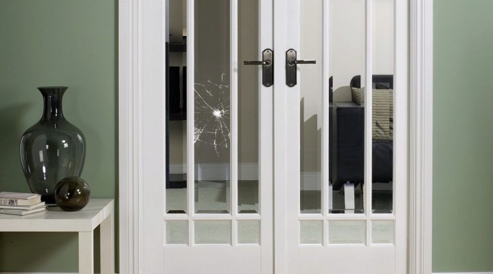  Das Glas in der Innentür ersetzen