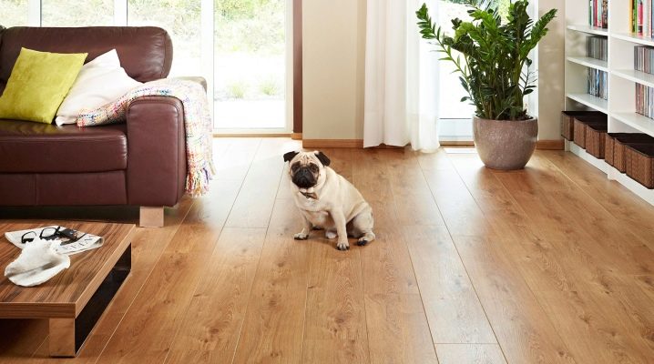  Was tun, wenn das Laminat knarzt?