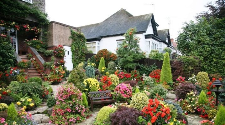  Flower beds and flower beds in the country: we plant plants that bloom all summer