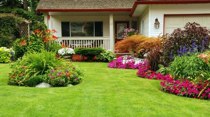  Design of flower beds: types and interesting ideas for giving