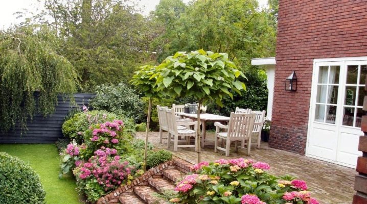  How to equip the suburban area of ​​10 acres with their own hands?