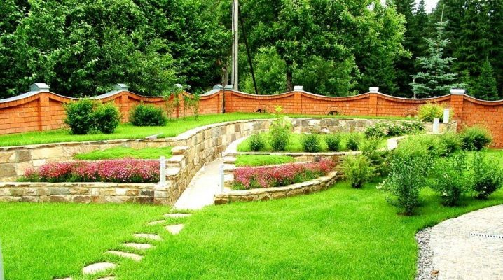  Wie man einen Rasen macht?