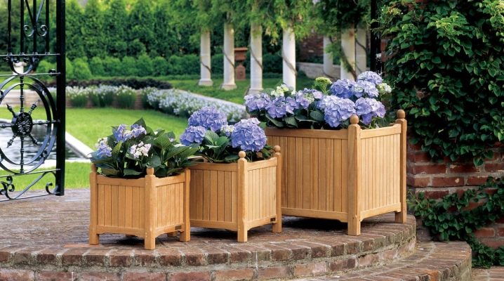  Garden pots: original ideas with your own hands