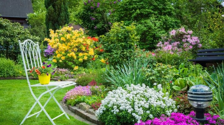  Blumenbeete: Wie man den Aufstellungsort mit ihren eigenen Händen verziert