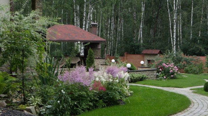  Landscaping suburban area: designing your own hands