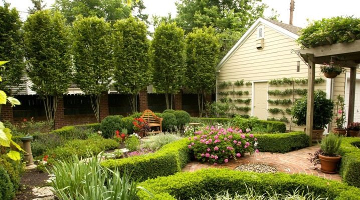 Landscape design: features of the design of the village site