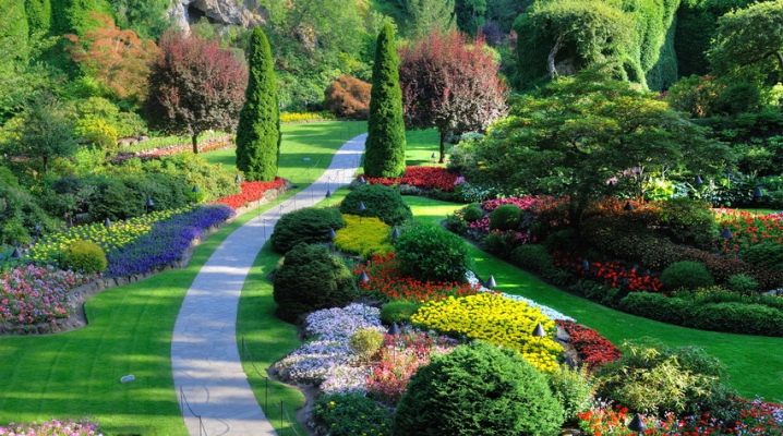 Landscape design: features of the landscaping process