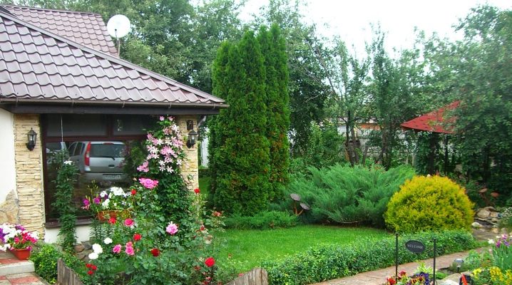  Zone de conception de paysage de 12 acres: des idées belles et élégantes