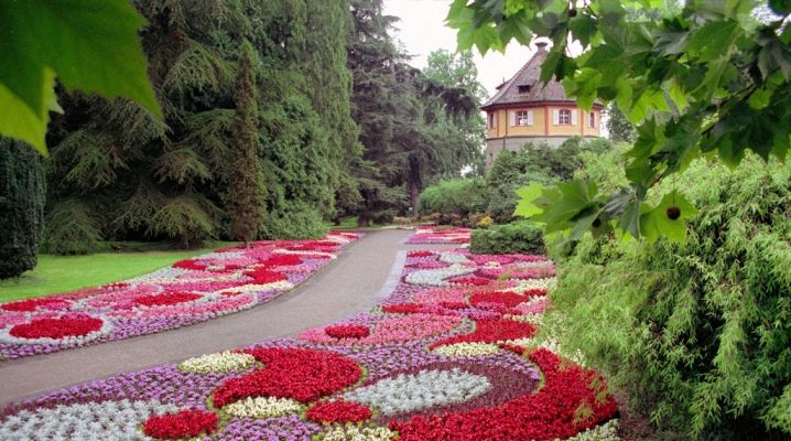  Landschaftsdesign: Wählen Sie Blumen zum Pflanzen