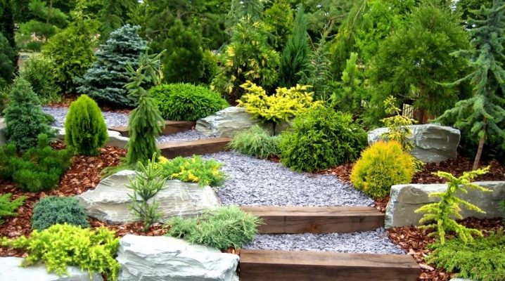  Planning and design of the dacha