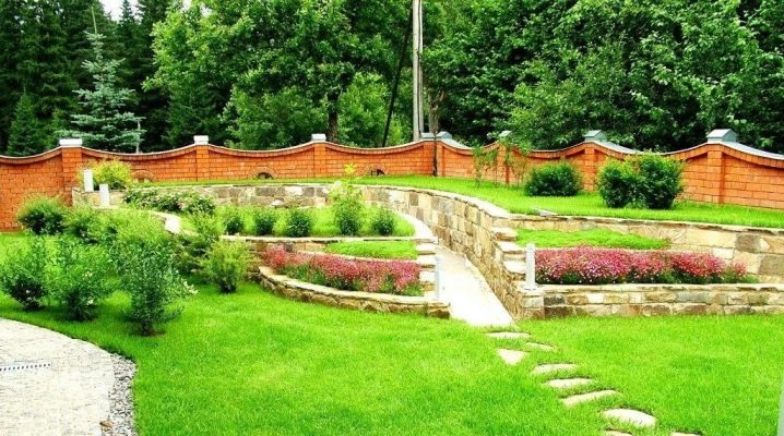  Rolled lawn: recommendations for selection and care