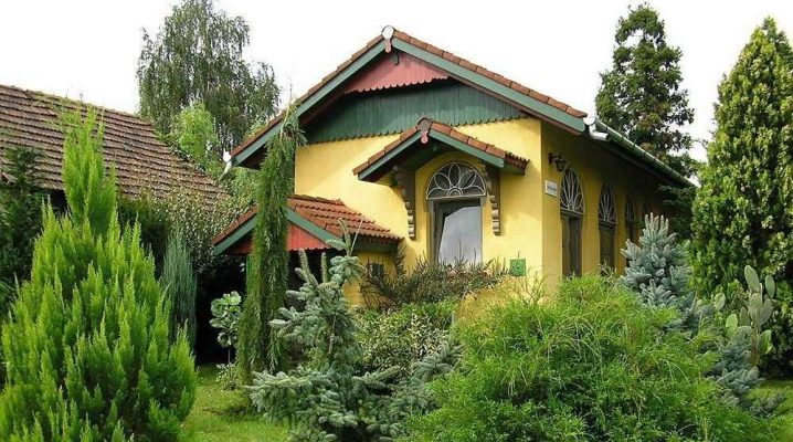  Subtleties of landscape design: the rules for selecting and planting conifers