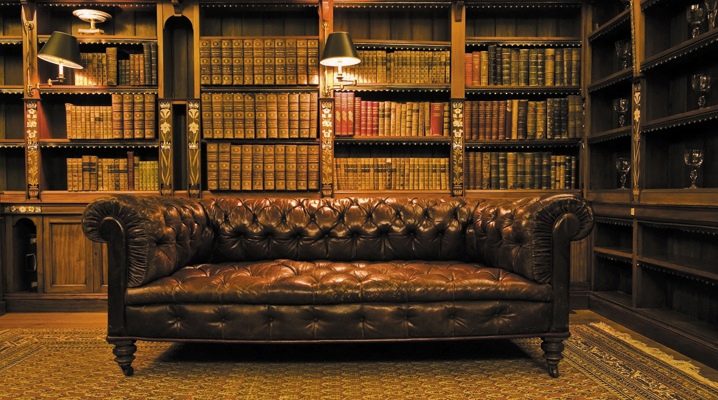  Sofa in einem Büro: Feinheiten der Wahl