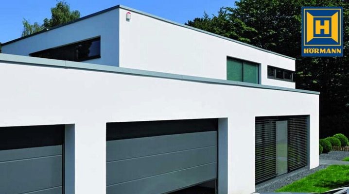  Sektionaltor Hörmann: das Für und Wider