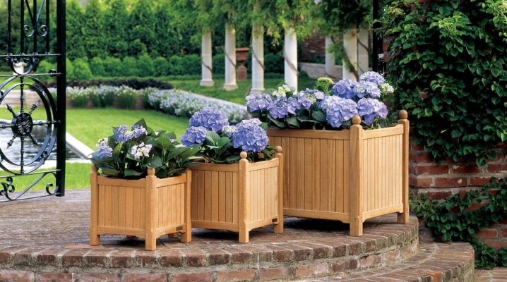  Wir dekorieren das Haus mit Hilfe von Blumentöpfen