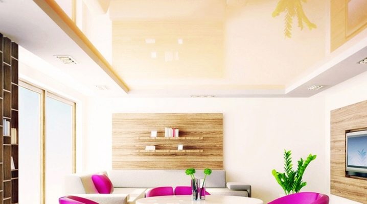  Pongs de plafonds tendus: caractéristiques et design