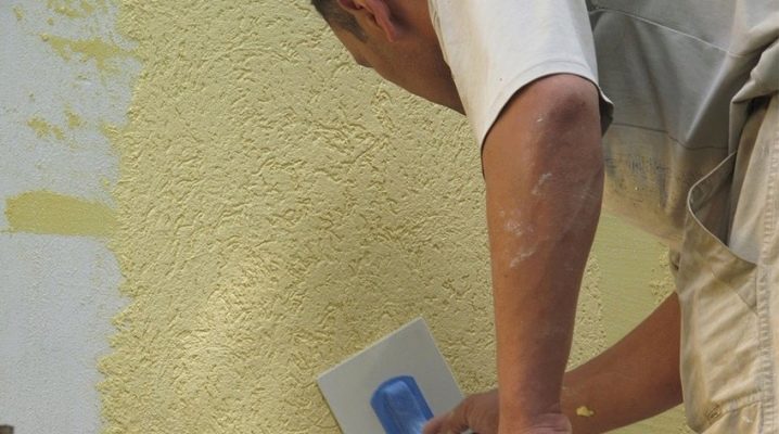  Coléoptère de l'écorce: caractéristiques et champ d'application