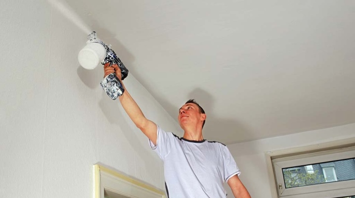  Subtilités plafond à la chaux