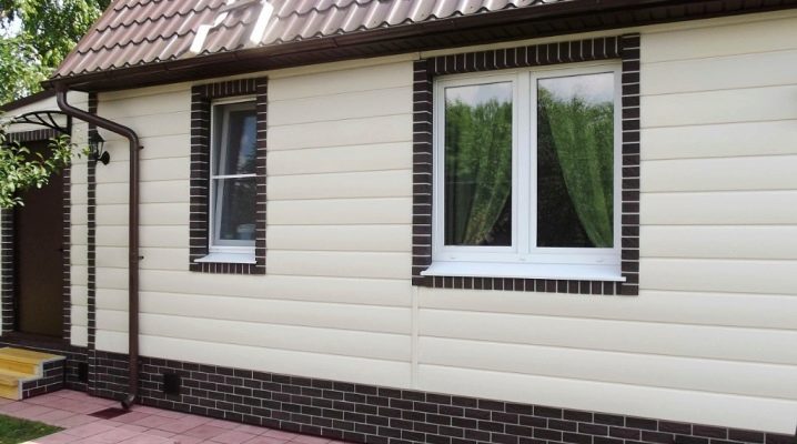  The subtleties of the choice of basement siding