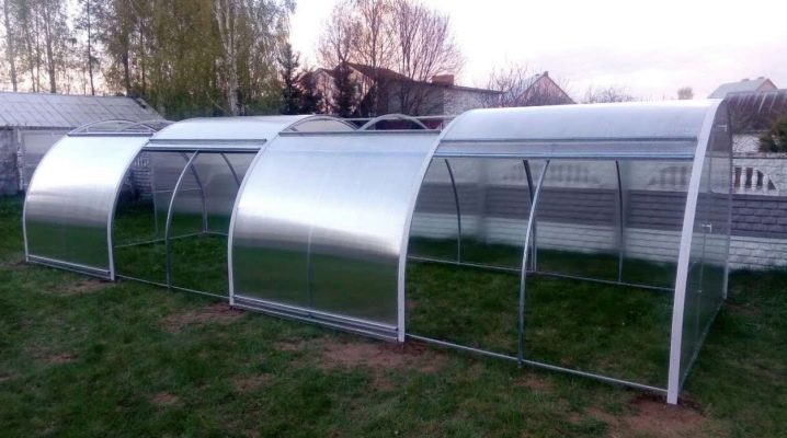  Caractéristiques de la serre Tulip avec des côtés d'ouverture