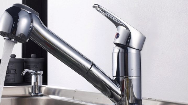  Rossinka Mischer: Merkmale und Vorteile