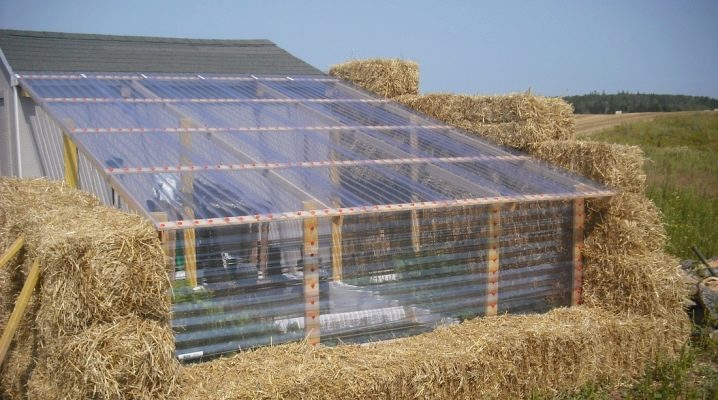  Thermos à effet de serre: comment est-il organisé et comment le fabriquer soi-même?