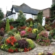  Landscape design: how to arrange the area in front of the house