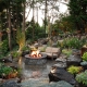 Landscape Design: Original Design Ideas