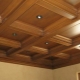  Caisson plafond: le pour et le contre