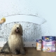  Dulux Paints: Vor- und Nachteile