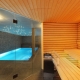  Projet bain avec piscine: exemples de design